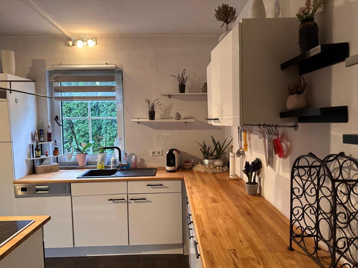 4 Zimmer 11 Personen Wohnung Garten Terrasse Grill 2 Badezimmer Wuppertal Exteriör bild